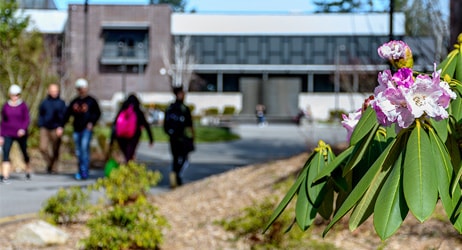 Photo of pink flowers in bloom on the Green River College campus with students walking in the background