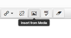 image showing the insert media button in the CMS editor