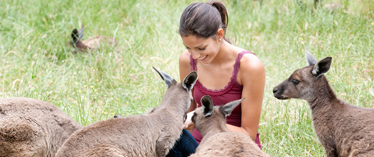 Photo of girl with kangaroos