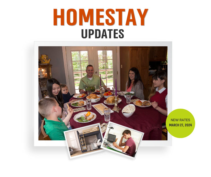 homestay updates shows bunk bed and student studying at desk