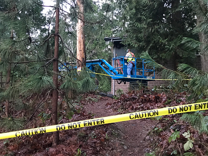 Facilities crews work to remove trees downed in a Jan. 6 windstorm