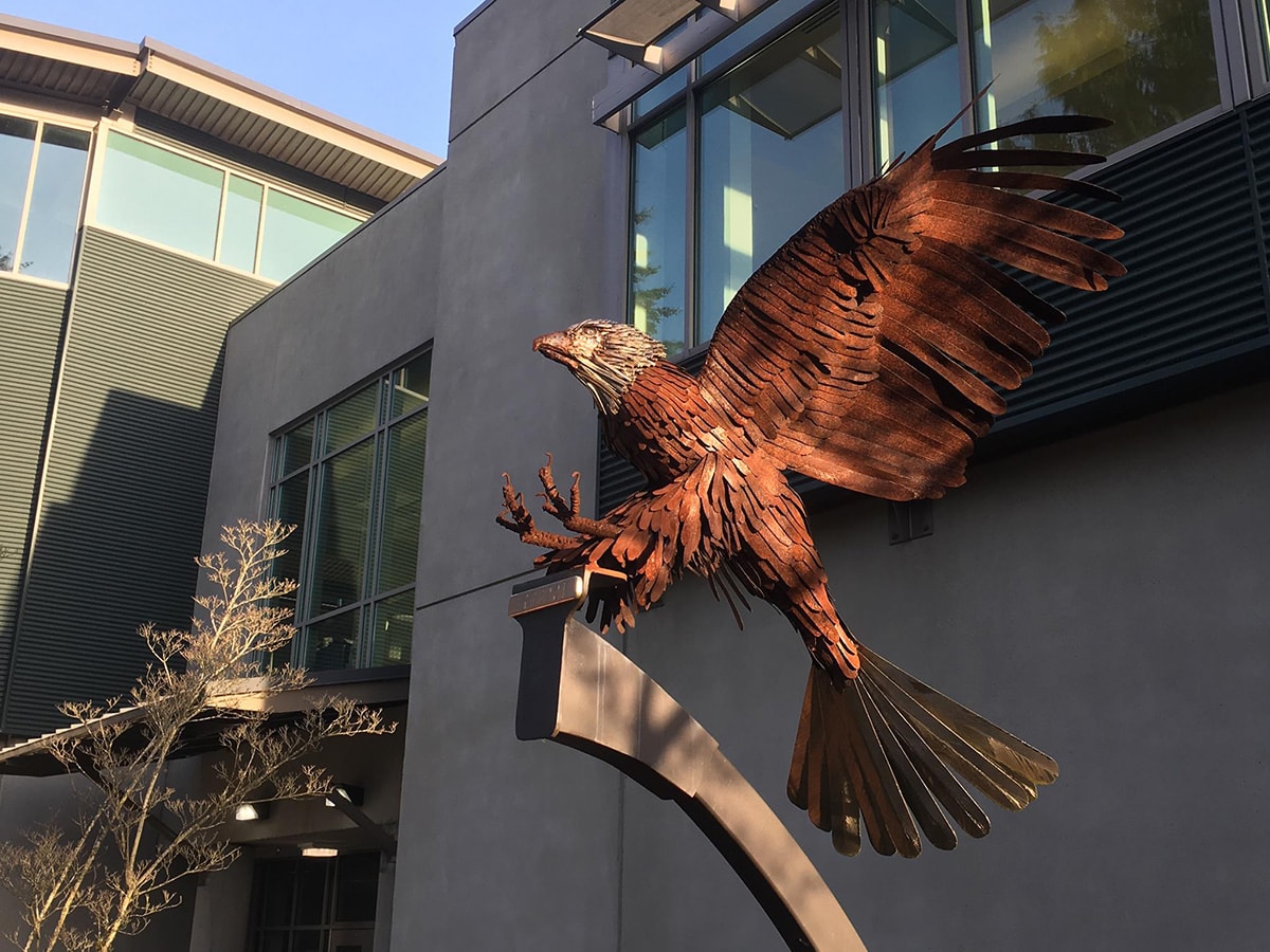 Sculpture of a bald eagle located in front of Holman Library 