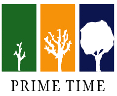 Prime Time Institute logo