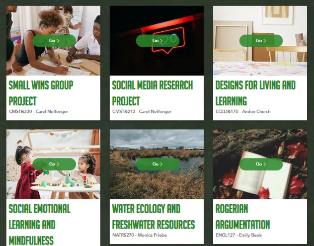 Student Showcase page on Canvas